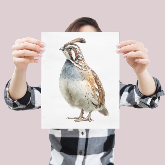 Watercolor Quail Wall Art Print, Unframed - Vibrant Nature-Inspired Home Decor - Picture 4 of 6